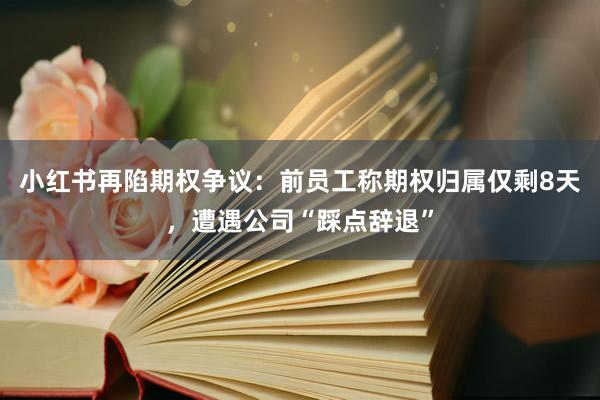 小红书再陷期权争议：前员工称期权归属仅剩8天，遭遇公司“踩点辞退”