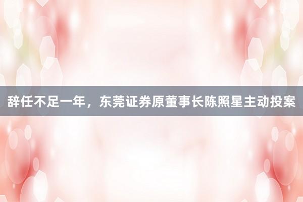 辞任不足一年，东莞证券原董事长陈照星主动投案