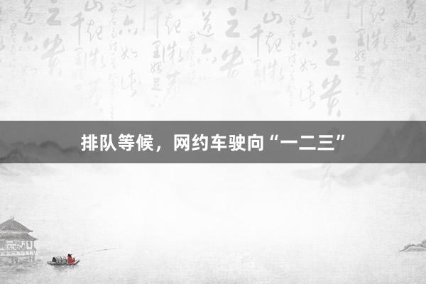排队等候，网约车驶向“一二三”