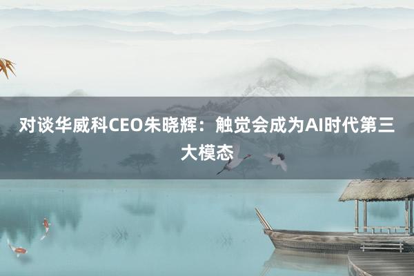 对谈华威科CEO朱晓辉：触觉会成为AI时代第三大模态