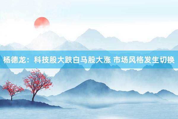 杨德龙：科技股大跌白马股大涨 市场风格发生切换