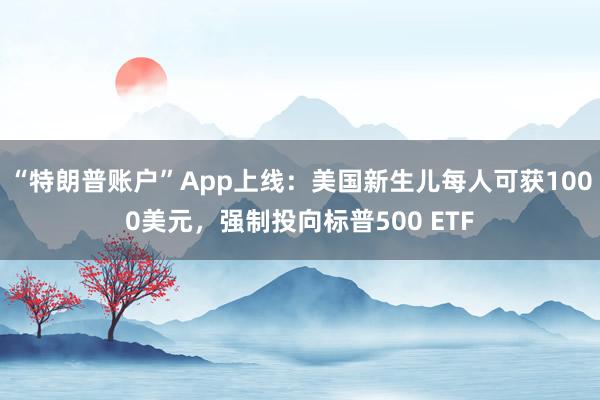 “特朗普账户”App上线：美国新生儿每人可获1000美元，强制投向标普500 ETF