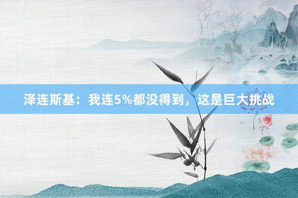 泽连斯基：我连5%都没得到，这是巨大挑战