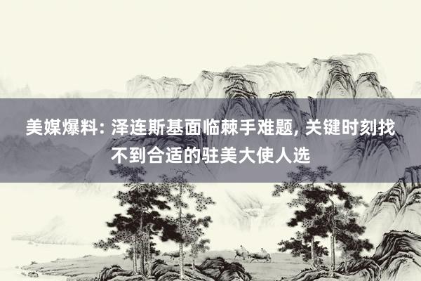 美媒爆料: 泽连斯基面临棘手难题, 关键时刻找不到合适的驻美大使人选