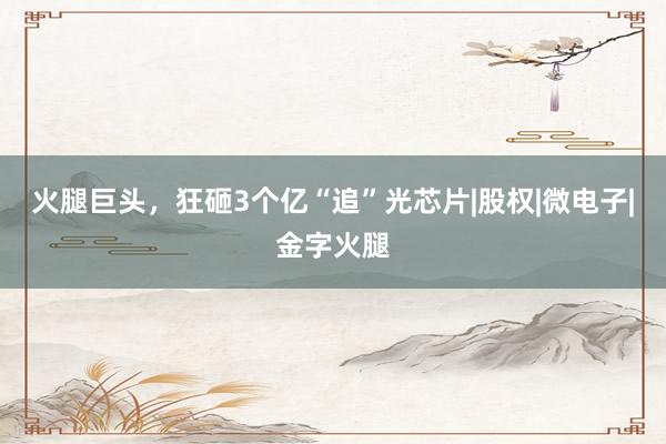 火腿巨头，狂砸3个亿“追”光芯片|股权|微电子|金字火腿