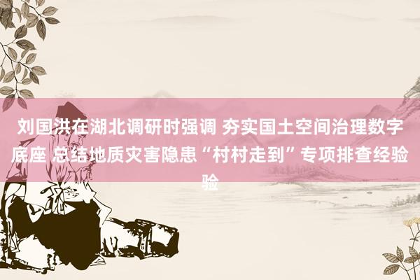 刘国洪在湖北调研时强调 夯实国土空间治理数字底座 总结地质灾害隐患“村村走到”专项排查经验