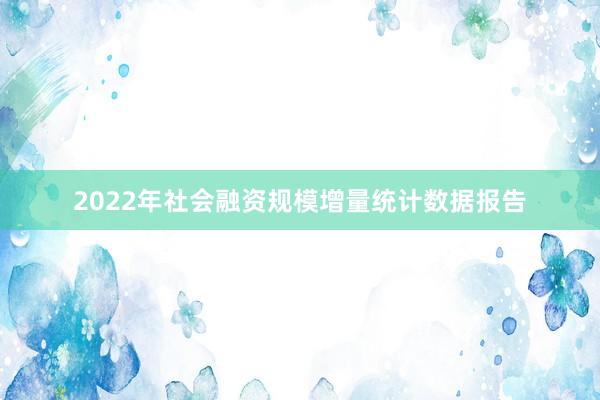 2022年社会融资规模增量统计数据报告