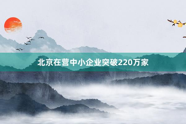 北京在营中小企业突破220万家