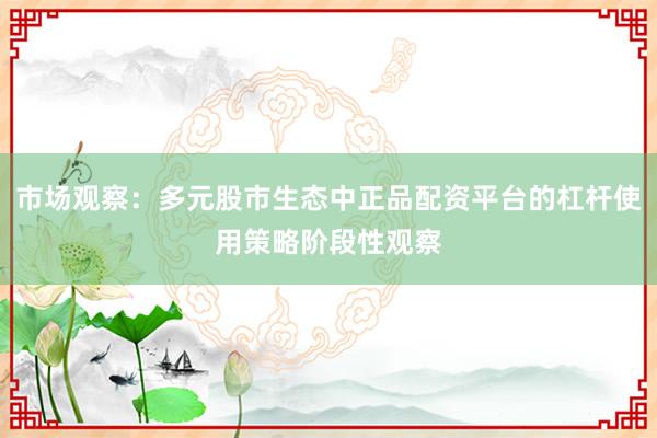 市场观察：多元股市生态中正品配资平台的杠杆使用策略阶段性观察
