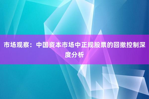 市场观察：中国资本市场中正规股票的回撤控制深度分析