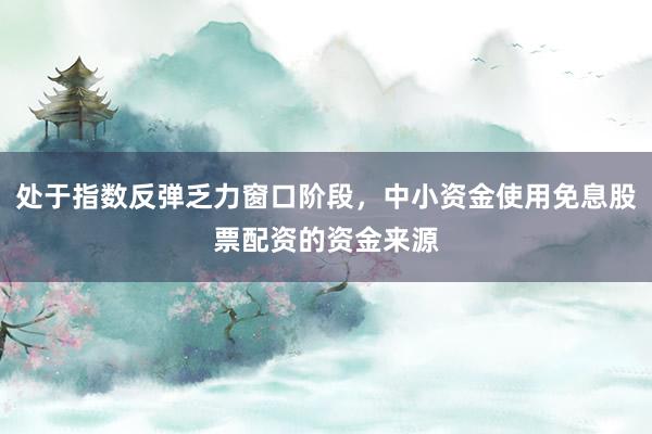 处于指数反弹乏力窗口阶段，中小资金使用免息股票配资的资金来源