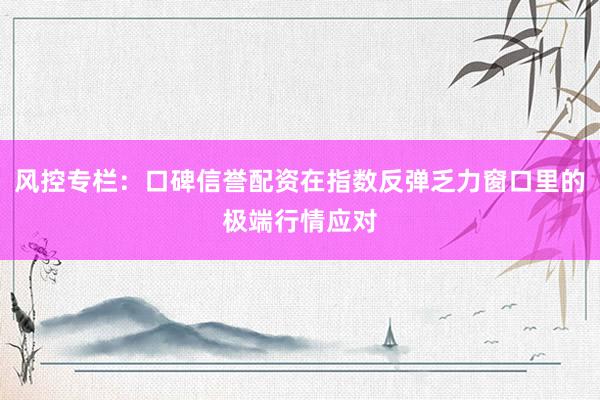 风控专栏：口碑信誉配资在指数反弹乏力窗口里的极端行情应对