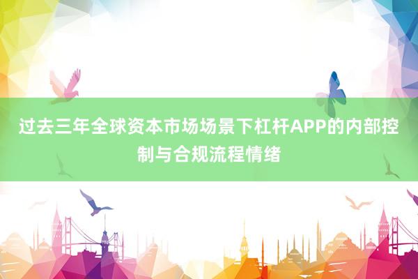 过去三年全球资本市场场景下杠杆APP的内部控制与合规流程情绪