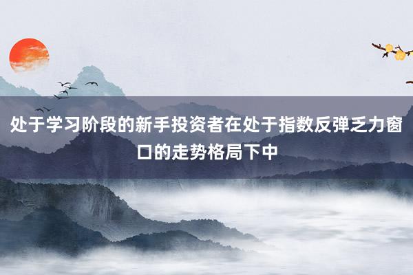 处于学习阶段的新手投资者在处于指数反弹乏力窗口的走势格局下中