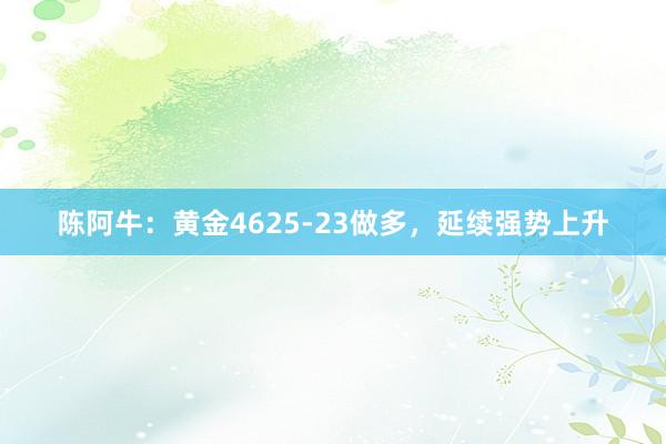 陈阿牛：黄金4625-23做多，延续强势上升