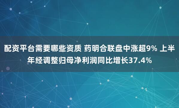 配资平台需要哪些资质 药明合联盘中涨超9% 上半年经调整归母净利润同比增长37.4%