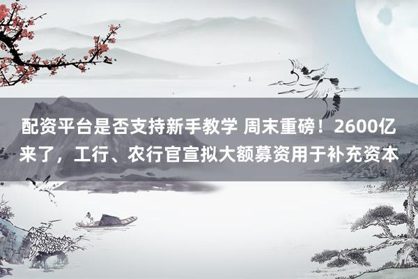 配资平台是否支持新手教学 周末重磅！2600亿来了，工行、农行官宣拟大额募资用于补充资本