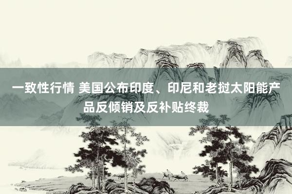 一致性行情 美国公布印度、印尼和老挝太阳能产品反倾销及反补贴终裁