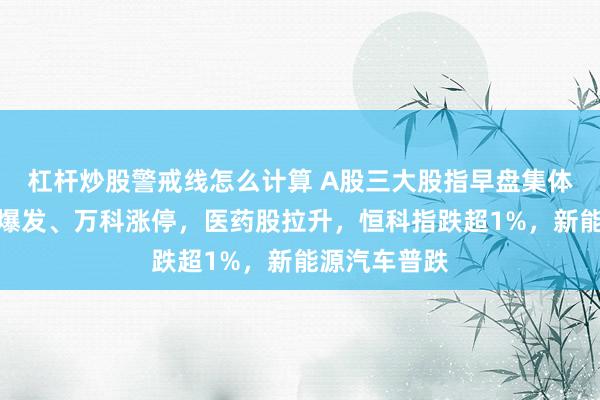 杠杆炒股警戒线怎么计算 A股三大股指早盘集体转跌，地产爆发、万科涨停，医药股拉升，恒科指跌超1%，新能源汽车普跌