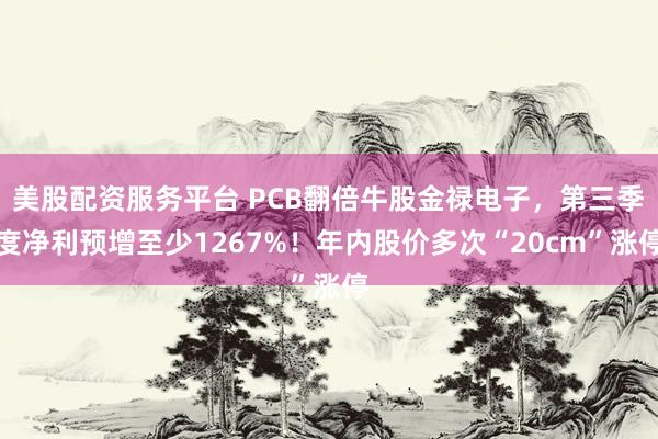 美股配资服务平台 PCB翻倍牛股金禄电子,第三季度净利预增至少1267%!年内股价多次“20cm”涨停